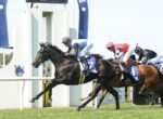 Dark bay racehorse in front with a jockey in light-blue silks and a black helmet, racing on a sunny track with rivals close behind.