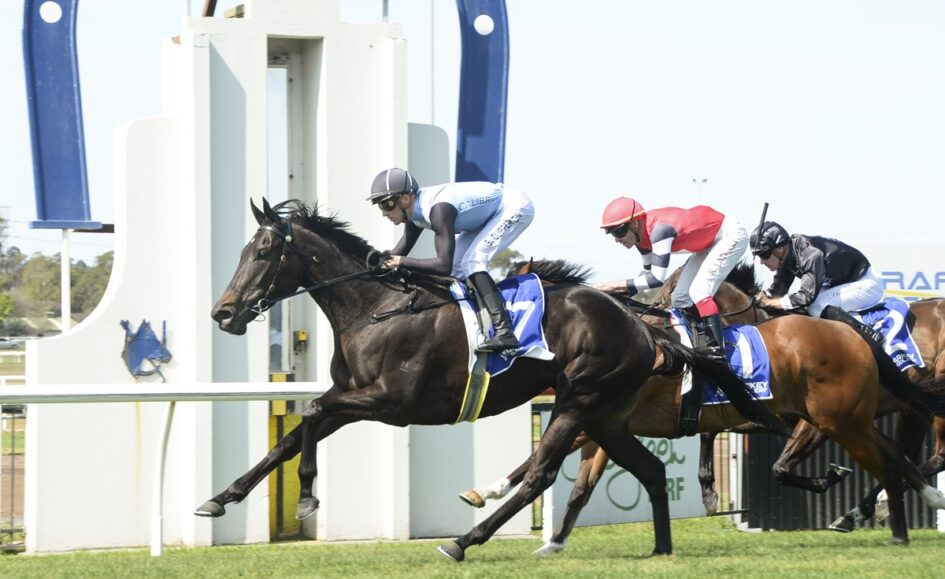 Dark bay racehorse in front with a jockey in light-blue silks and a black helmet, racing on a sunny track with rivals close behind.