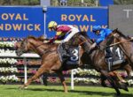 Front-running horse with number 3 saddle cloth leads the race, jockey in yellow helmet and maroon silks, close behind two rivals on a sunny track, Royal Randwick signage in the background.