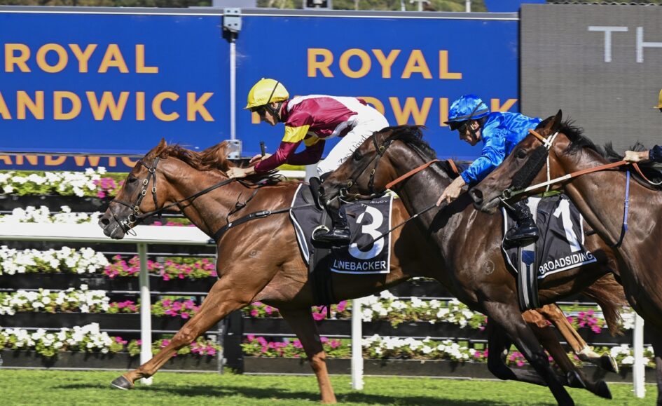 Front-running horse with number 3 saddle cloth leads the race, jockey in yellow helmet and maroon silks, close behind two rivals on a sunny track, Royal Randwick signage in the background.