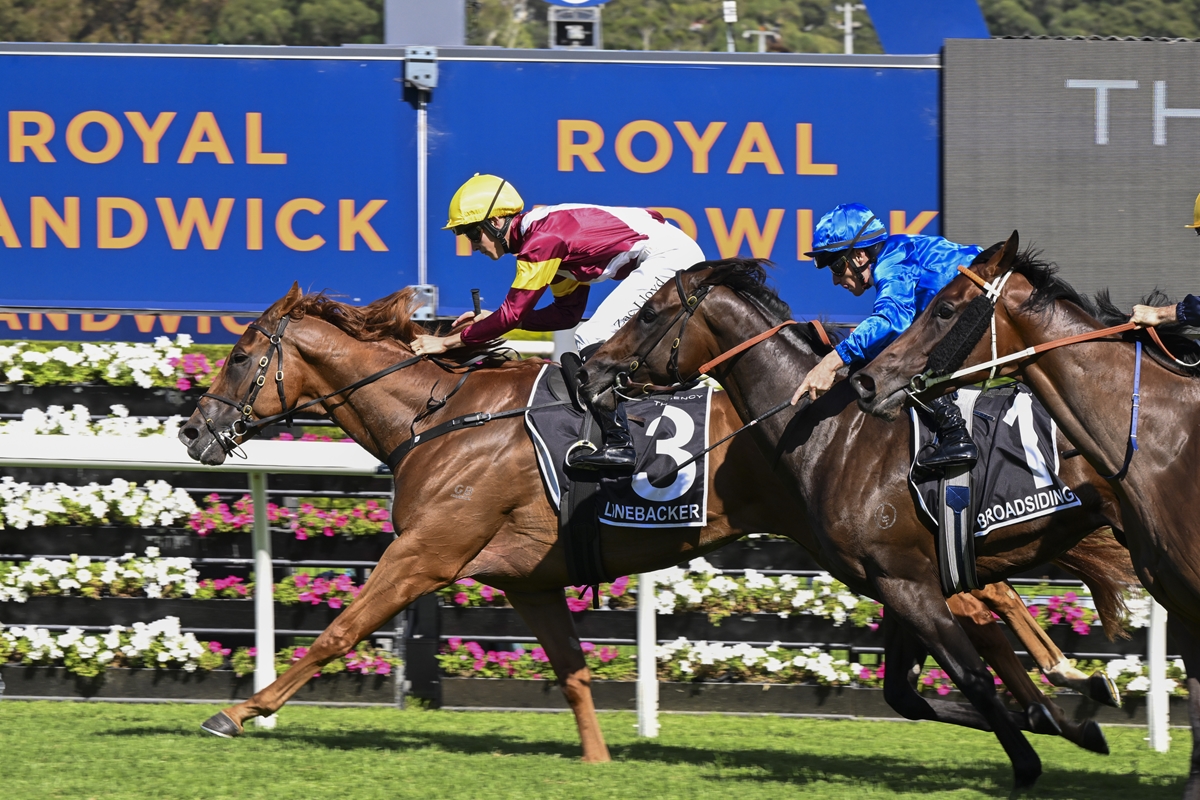 Front-running horse with number 3 saddle cloth leads the race, jockey in yellow helmet and maroon silks, close behind two rivals on a sunny track, Royal Randwick signage in the background.