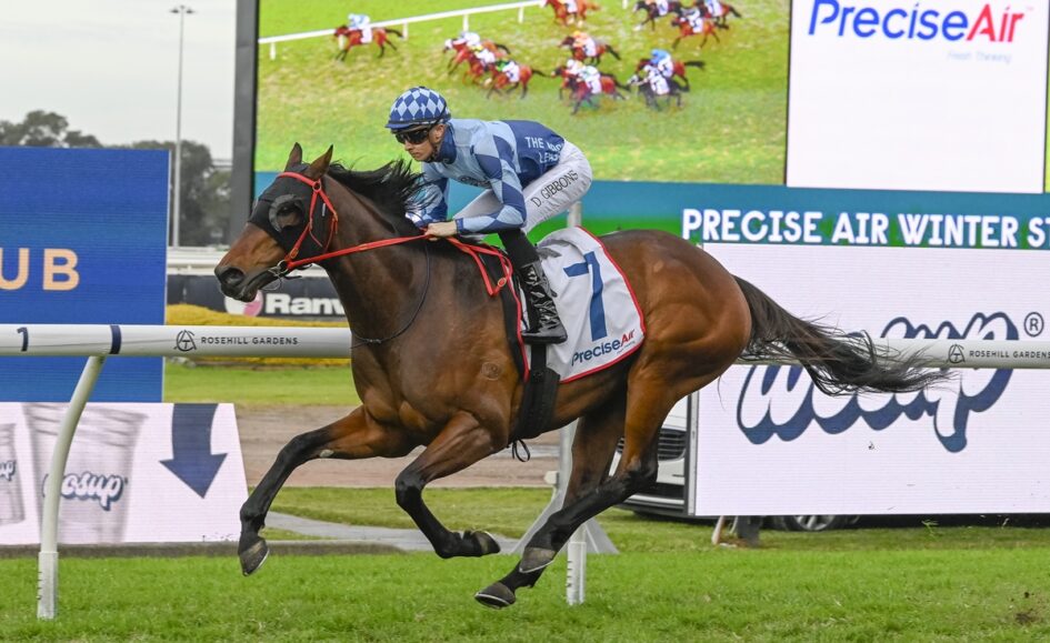 Jockey in blue checkered helmet rides a brown horse jumping a hurdle at a racecourse, with 'ROSEHILL GARDENS' visible on the hurdle rail and a large screen behind showing 'PreciseAir'.