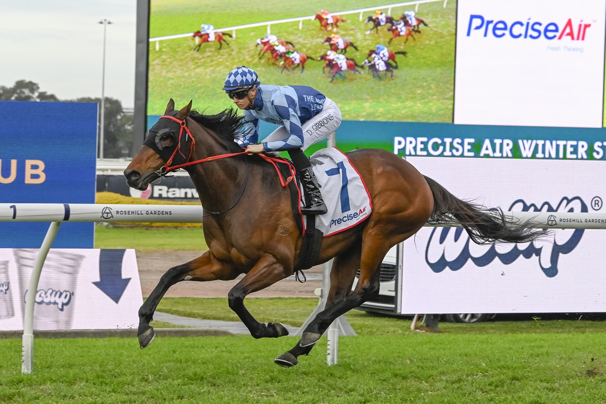 Jockey in blue checkered helmet rides a brown horse jumping a hurdle at a racecourse, with 'ROSEHILL GARDENS' visible on the hurdle rail and a large screen behind showing 'PreciseAir'.