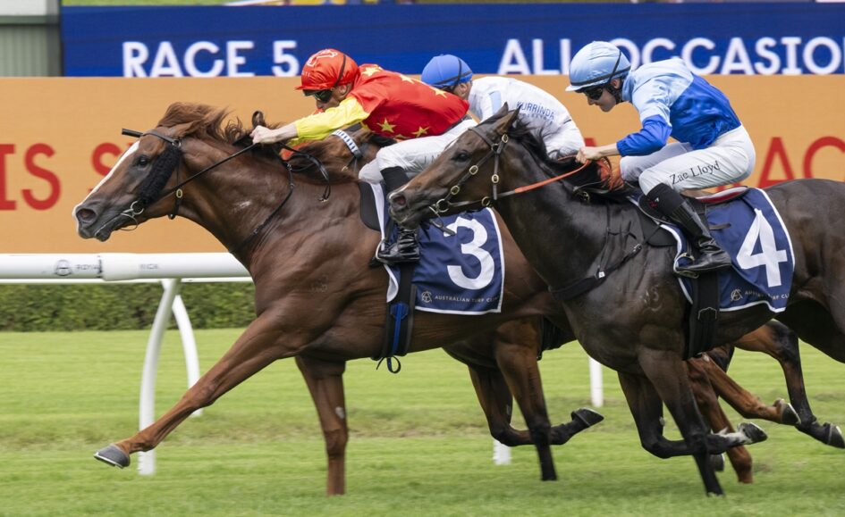 Three racehorses and jockeys sprinting toward the finish line on a grassy track, led by horse #3 with a red-and-yellow silks rider, closely followed by #4 in blue and white, with a cheering arena backdrop.
