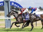Two jockeys race a dark horse at Hawkesbury, horse wearing number 4 saddle cloth; blue arch in background.