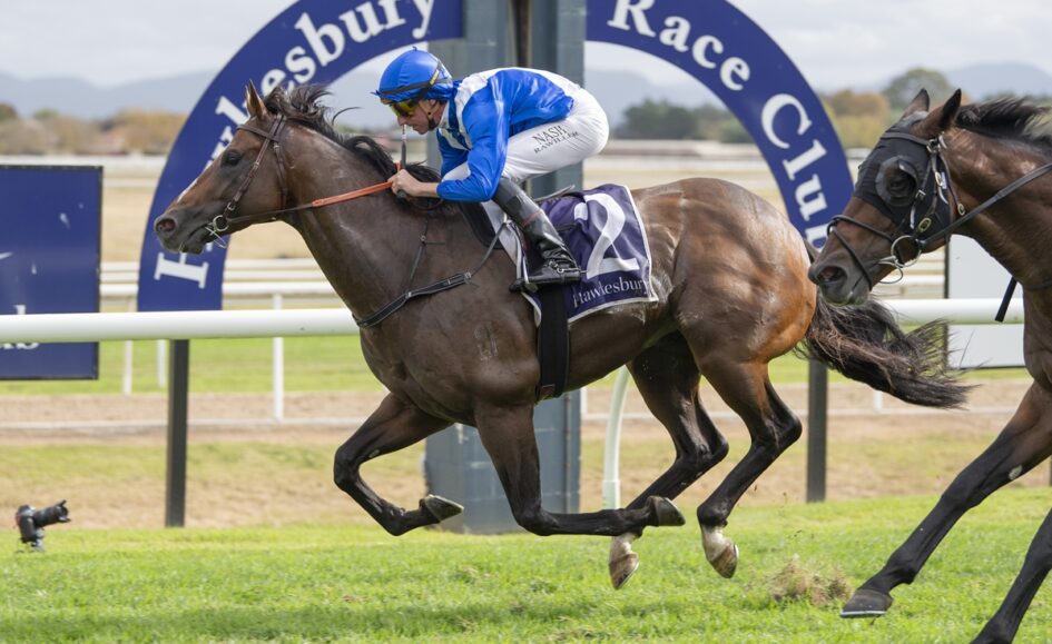 A jockey in blue and white silks rides a brown horse, leaping ahead in a racetrack race with another horse close behind under a large blue arch banner.