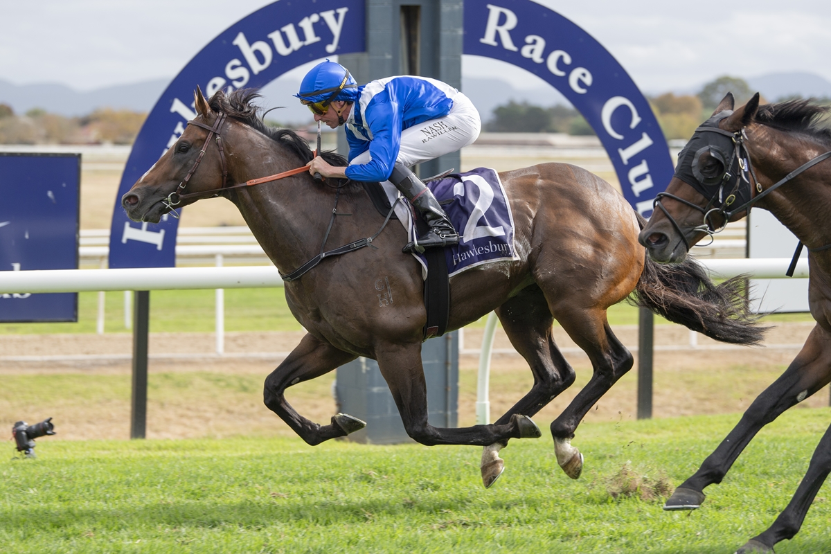 A jockey in blue and white silks rides a brown horse, leaping ahead in a racetrack race with another horse close behind under a large blue arch banner.