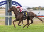 Brown thoroughbred gallops on a grassy racetrack with a jockey in red-and-white silks leaning forward in a race.