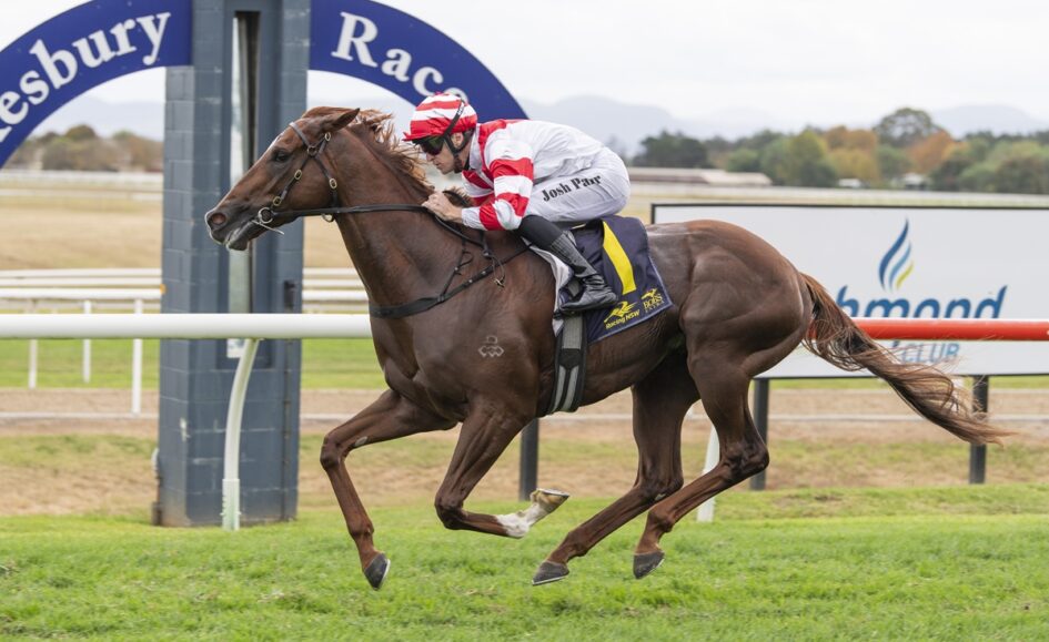 Brown thoroughbred gallops on a grassy racetrack with a jockey in red-and-white silks leaning forward in a race.