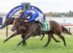 Two jockeys in blue race silks ride two thoroughbreds neck-and-neck on a grassy track near the finish line, green saddle cloth visible with number 11.