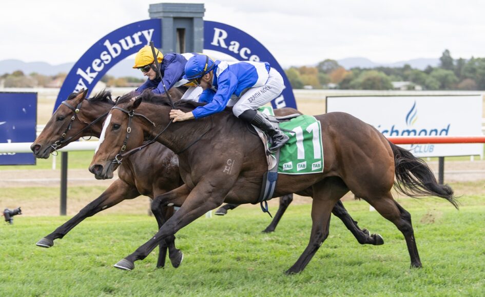 Two jockeys in blue race silks ride two thoroughbreds neck-and-neck on a grassy track near the finish line, green saddle cloth visible with number 11.