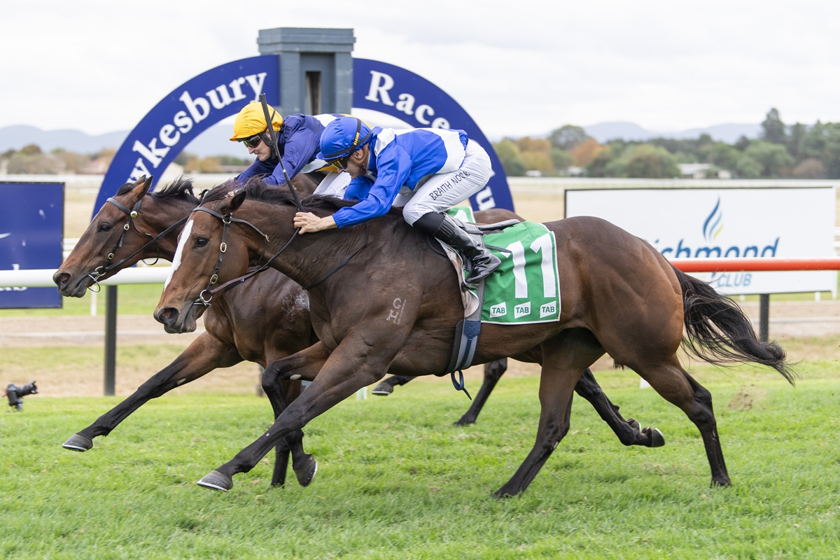 Two jockeys in blue race silks ride two thoroughbreds neck-and-neck on a grassy track near the finish line, green saddle cloth visible with number 11.