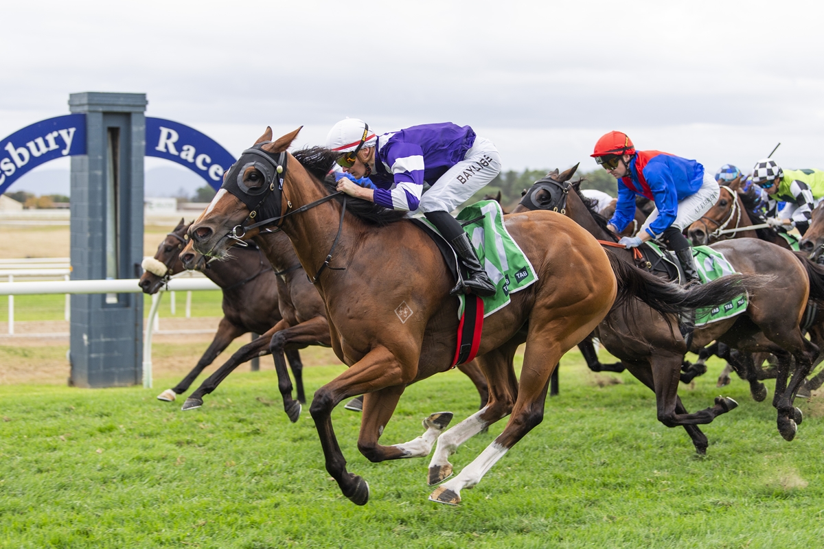 Jockeys race side by side on sprinting horses at a grassy track, with the lead horse wearing purple and white silks.