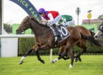 Two racehorses gallop on a grassy track during a race, leading brown horse with a jockey in purple cap and number 10 saddlecloth behind him.