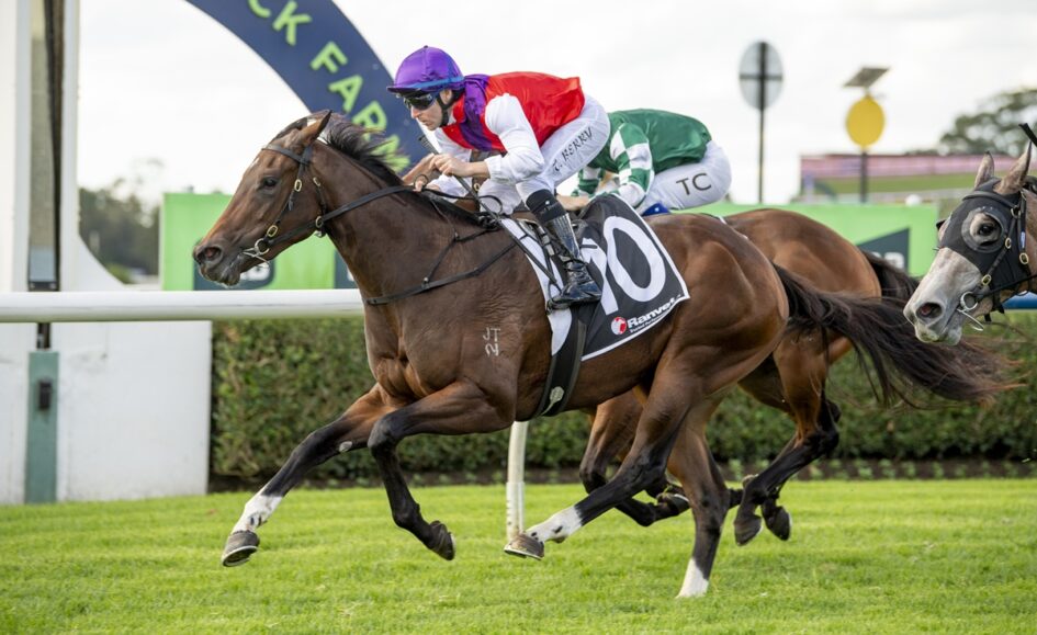 Two racehorses gallop on a grassy track during a race, leading brown horse with a jockey in purple cap and number 10 saddlecloth behind him.
