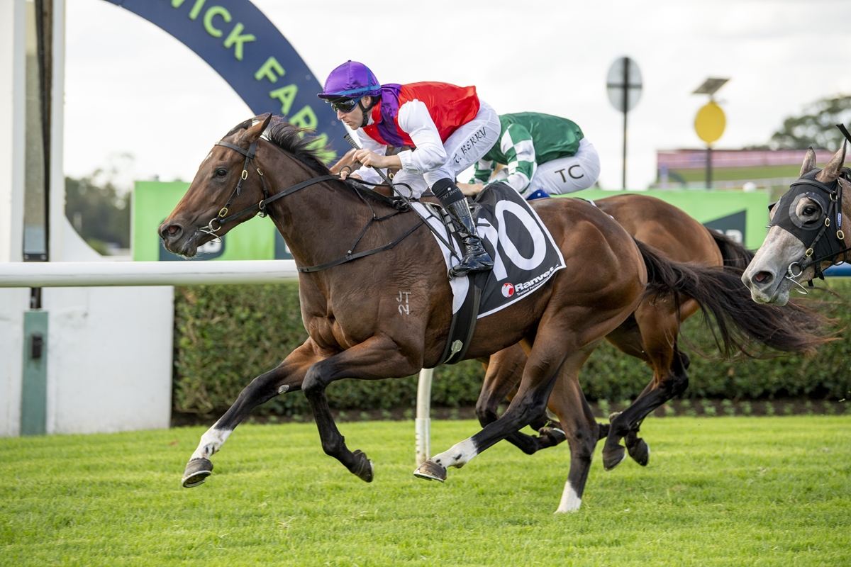 Two racehorses gallop on a grassy track during a race, leading brown horse with a jockey in purple cap and number 10 saddlecloth behind him.