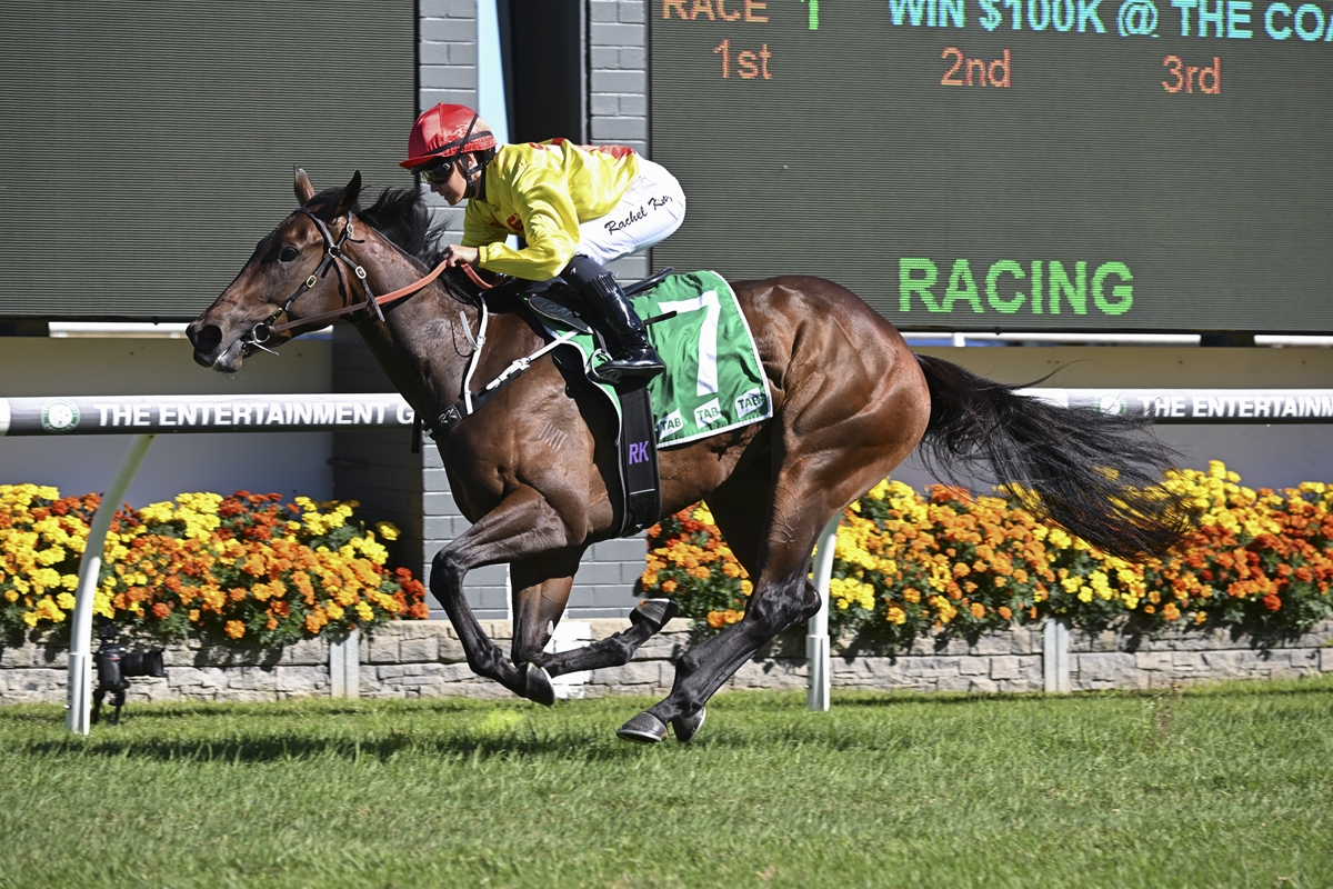 Jockey in yellow silks rides a brown racehorse with a green number-7 saddlecloth on a grassy track, galloping near the inside rail with a scoreboard in the background.