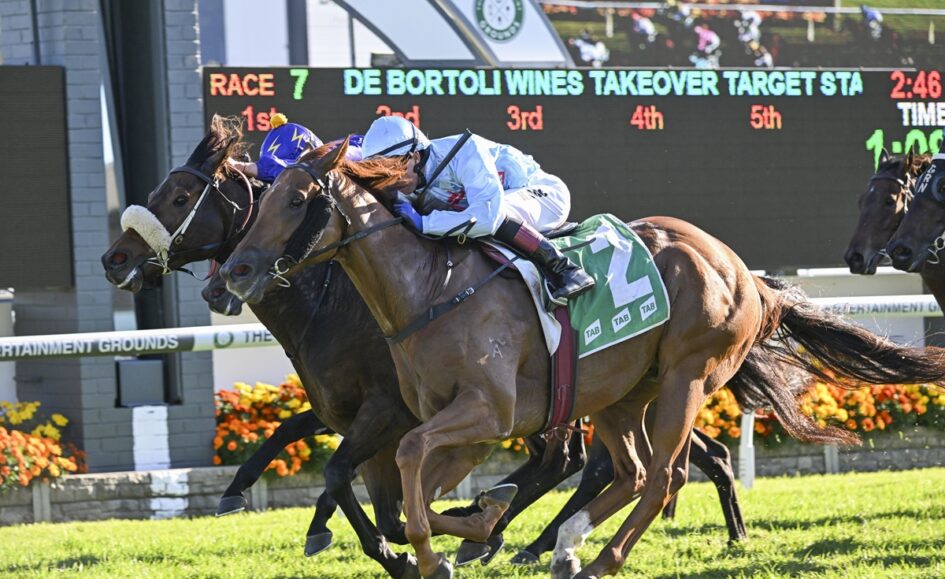 Three jockeys on galloping horses neck-and-neck during a race at a sunny racetrack with a scoreboard behind them.