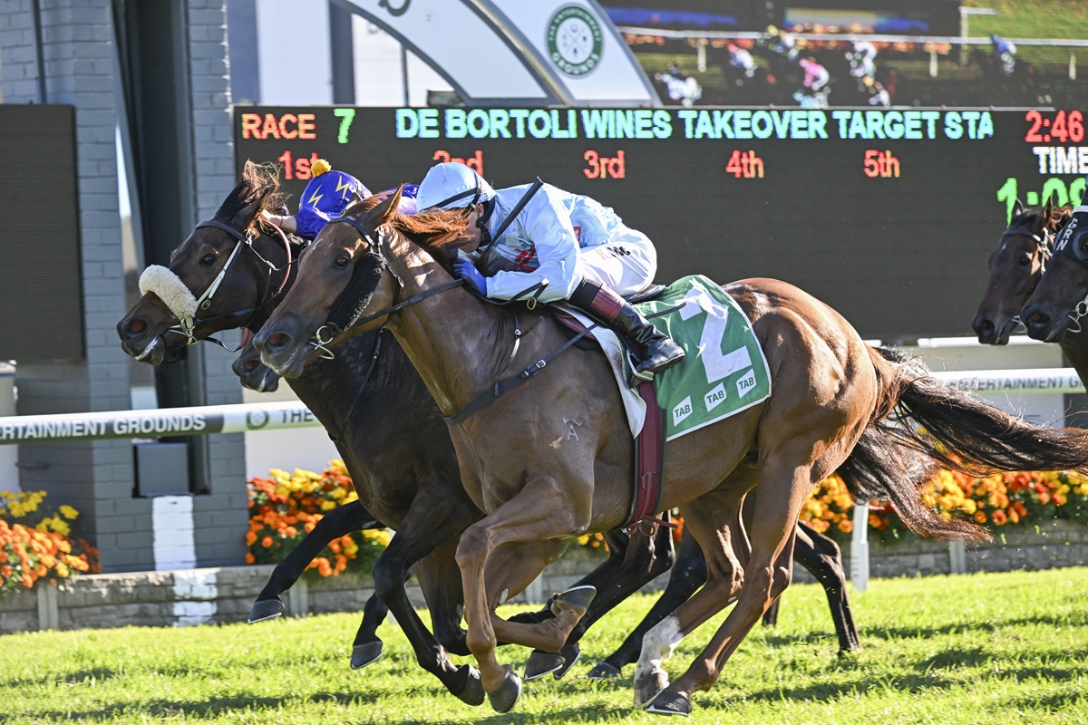 Three jockeys on galloping horses neck-and-neck during a race at a sunny racetrack with a scoreboard behind them.