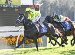 Leading dark bay horse and jockey in neon yellow silks sprint toward the finish, flanked by two rival horses and riders on a turf track.