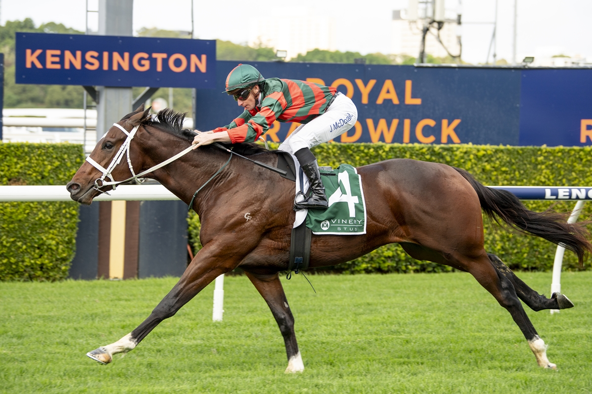 Jockey in green and red striped silks rides a galloping brown racehorse wearing number 4 saddlecloth, with Kensington signage in the background.