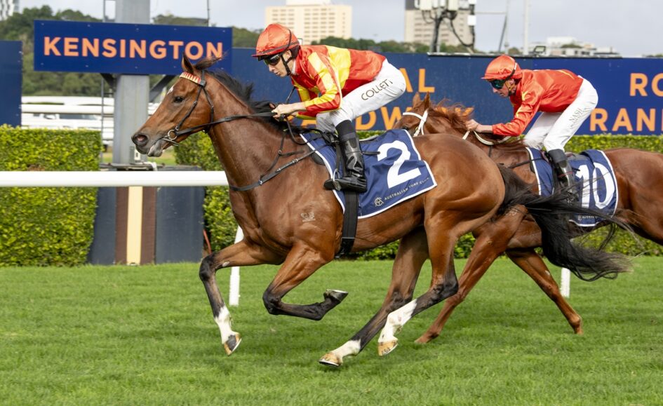 Two jockeys in orange-and-red silks ride brown horses neck-and-neck on a grassy racetrack, with a blue Kensington sign in the background.