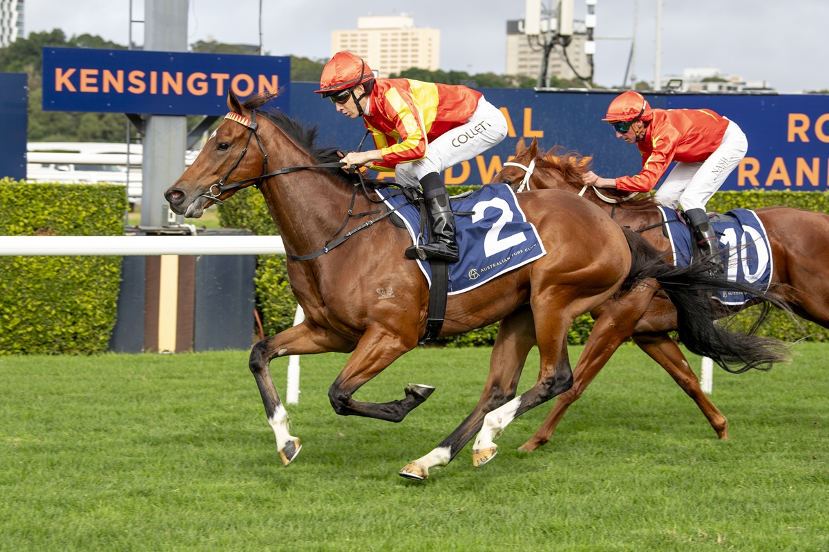 Two jockeys in orange-and-red silks ride brown horses neck-and-neck on a grassy racetrack, with a blue Kensington sign in the background.