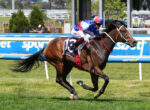 Jockey in blue, red, and white silks rides a brown horse at a racecourse, galloping on green turf beside blue rails with signage.