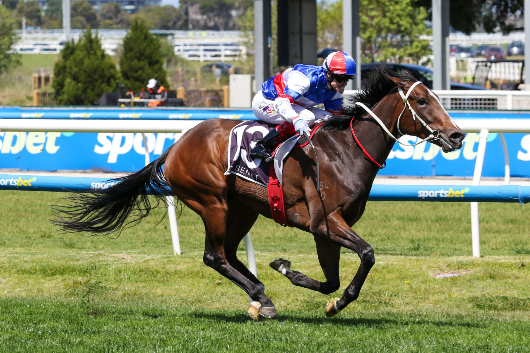 Jockey in blue, red, and white silks rides a brown horse at a racecourse, galloping on green turf beside blue rails with signage.