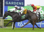 Two jockeys race on muddy horses, leaning forward as they sprint past green grass with a large GARDENS sign in the background.
