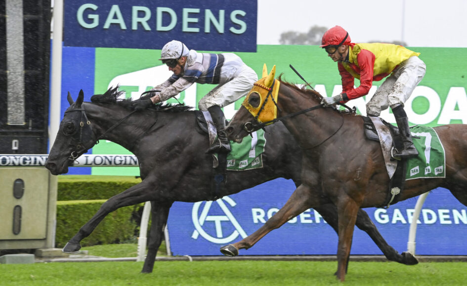 Two jockeys race on muddy horses, leaning forward as they sprint past green grass with a large GARDENS sign in the background.