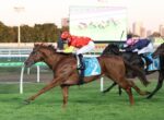 Horse race at Aquis Park: three horses gallop with jockeys in red-yellow, pink, and white silks on a green turf track.