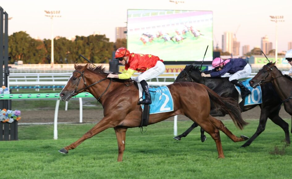 Horse race at Aquis Park: three horses gallop with jockeys in red-yellow, pink, and white silks on a green turf track.