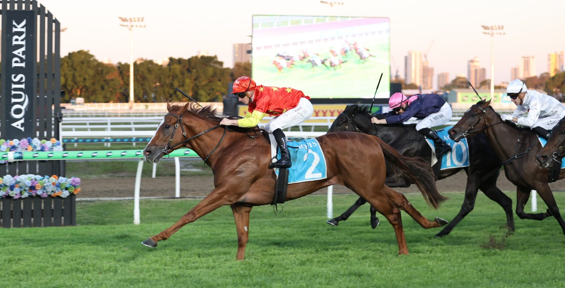 Horse race at Aquis Park: three horses gallop with jockeys in red-yellow, pink, and white silks on a green turf track.