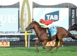 Jockey in red silks rides a brown horse leading a race toward the finish with AQUIS PARK signage in the background.