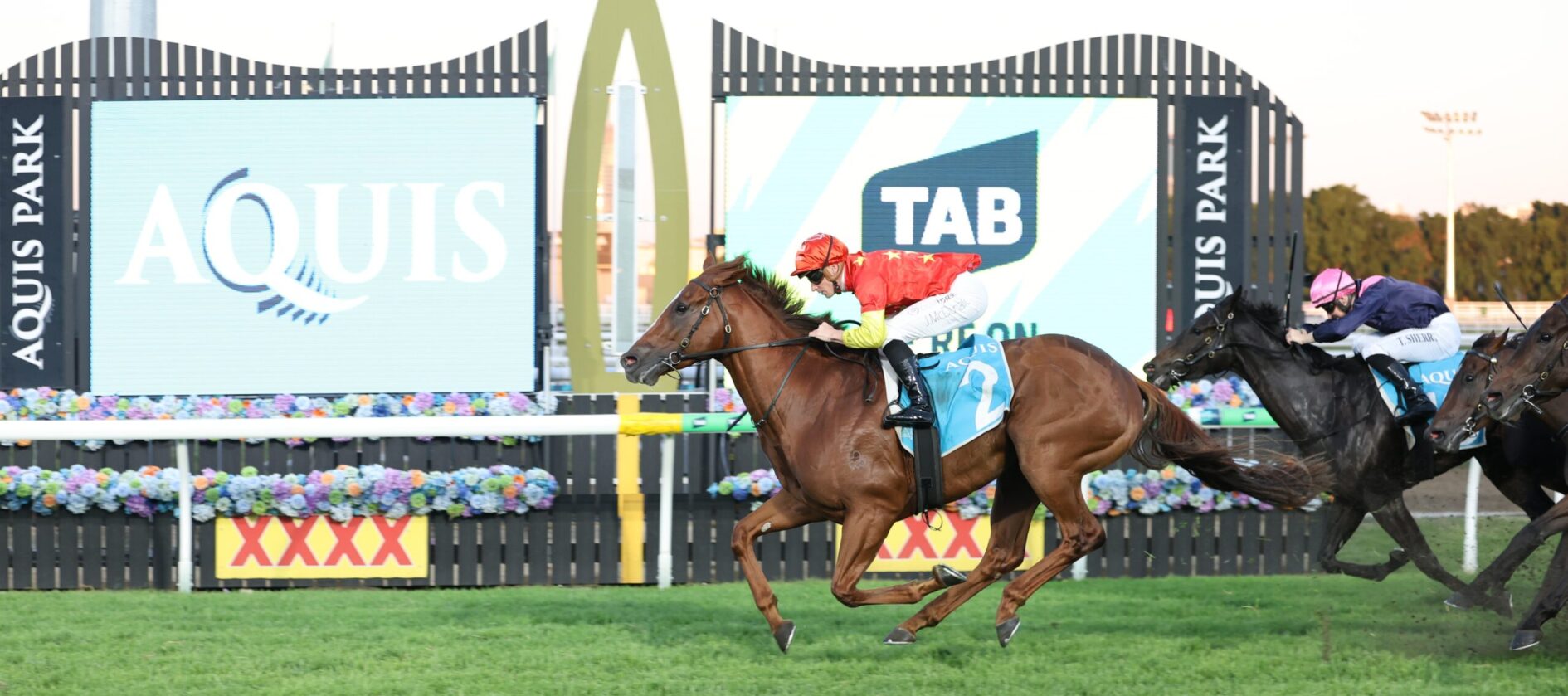 Jockey in red silks rides a brown horse leading a race toward the finish with AQUIS PARK signage in the background.