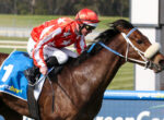 Jockey in red star-patterned silks and helmet riding a brown horse over a blue hurdle in a race.
