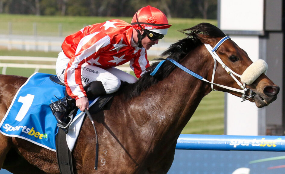 Jockey in red star-patterned silks and helmet riding a brown horse over a blue hurdle in a race.