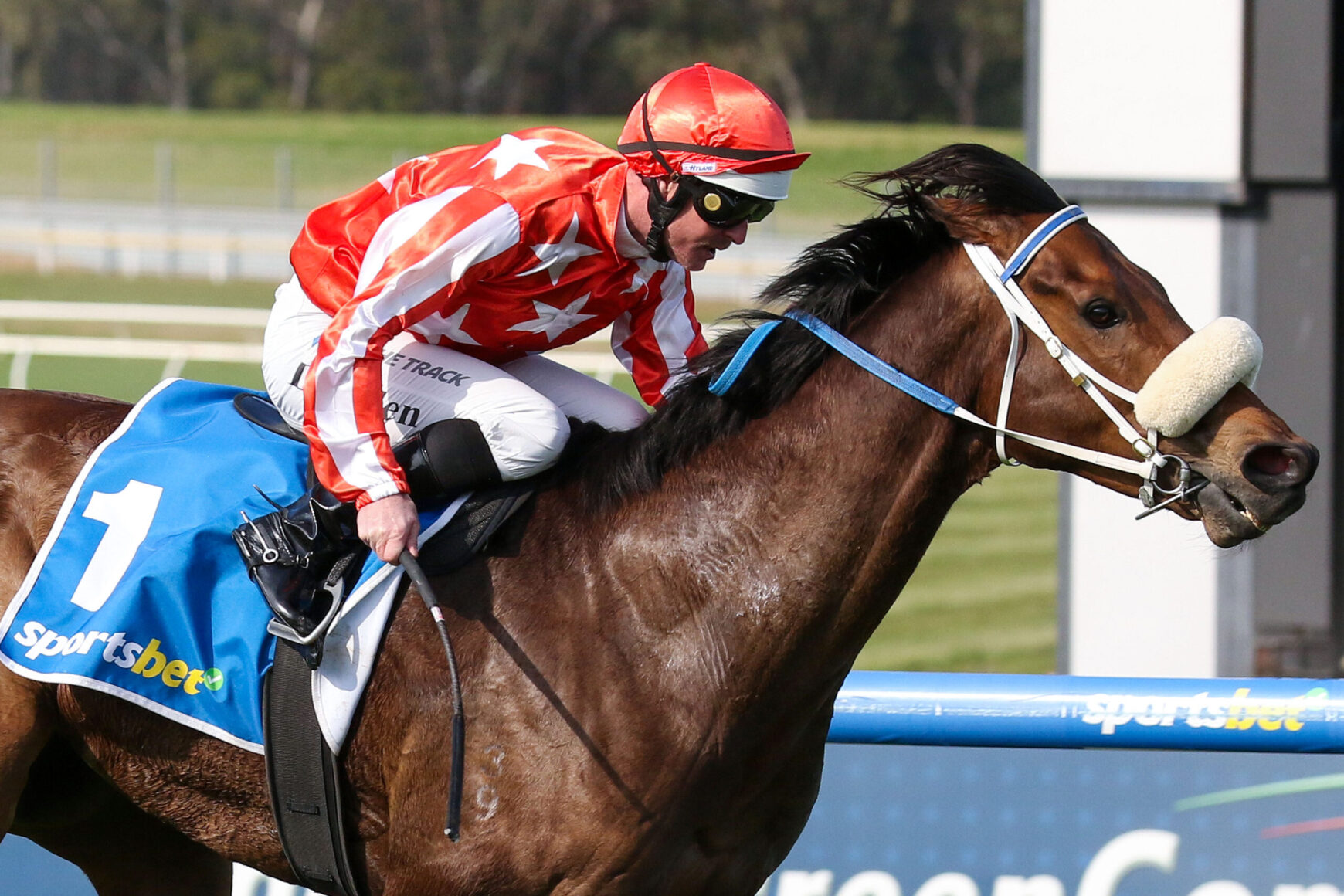 Jockey in red star-patterned silks and helmet riding a brown horse over a blue hurdle in a race.