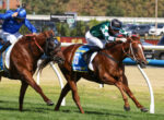Two jockeys race brown horses along a turf track, blue and green silks flying, with a white rail in the background.
