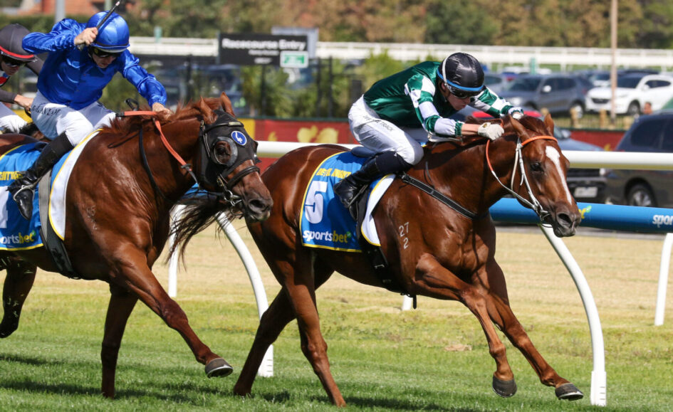 Two jockeys race brown horses along a turf track, blue and green silks flying, with a white rail in the background.