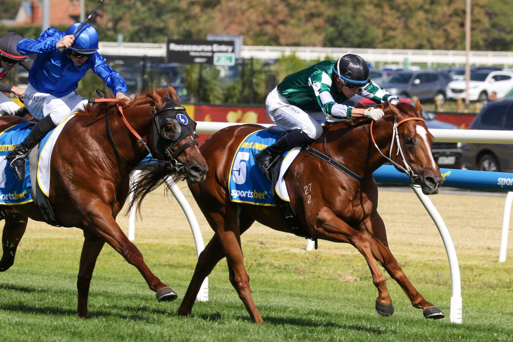 Two jockeys race brown horses along a turf track, blue and green silks flying, with a white rail in the background.