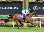 Horse racing action: jockey in green helmet riding a brown horse with purple number 14 saddle cloth at Flemington, colorful floral backdrop.