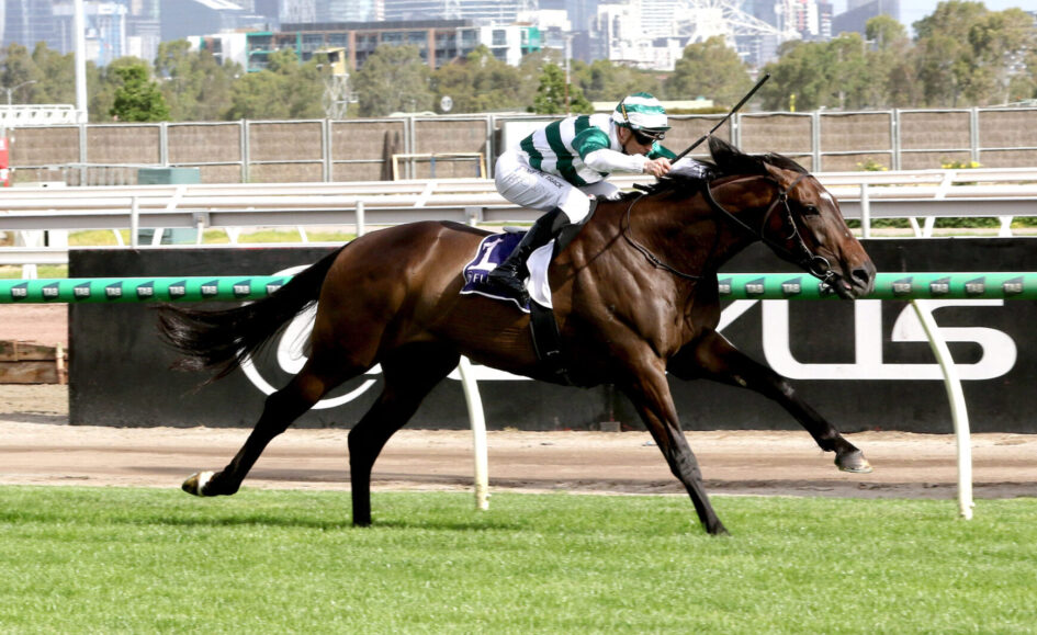 Jockey in green-and-white silks rides a galloping brown horse on a race track, with the city skyline in the background.