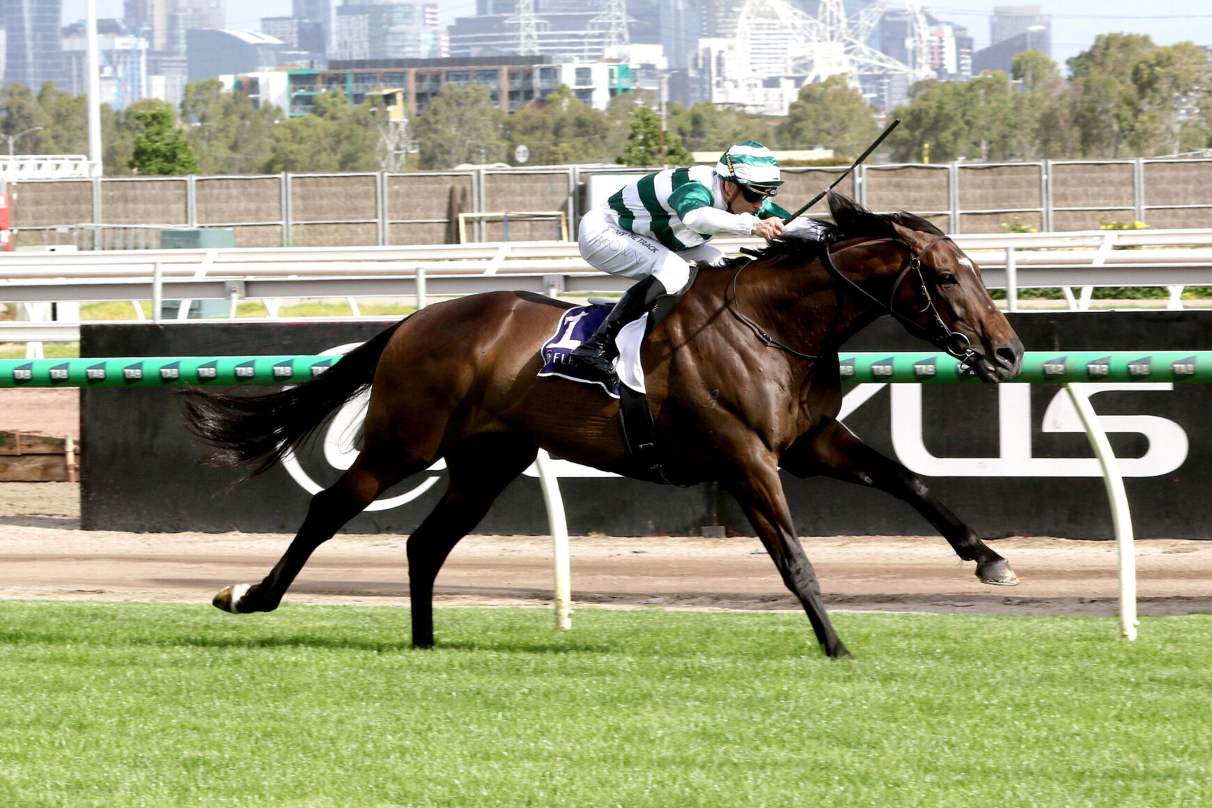 Jockey in green-and-white silks rides a galloping brown horse on a race track, with the city skyline in the background.
