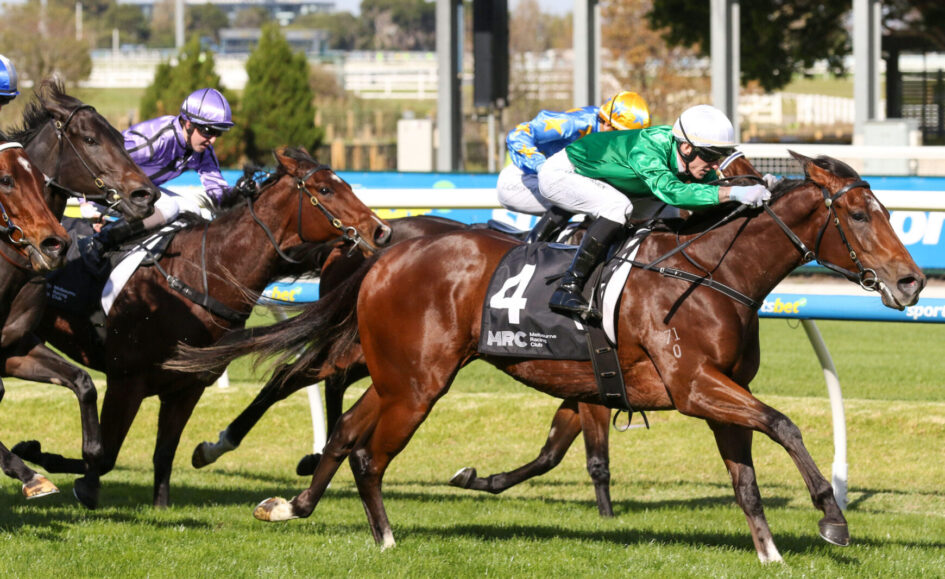 Horse race in progress on a sunny turf track; close pack of galloping horses and jockeys in green, purple, and blue silks, with number 4 saddlecloth visible on the front horse.