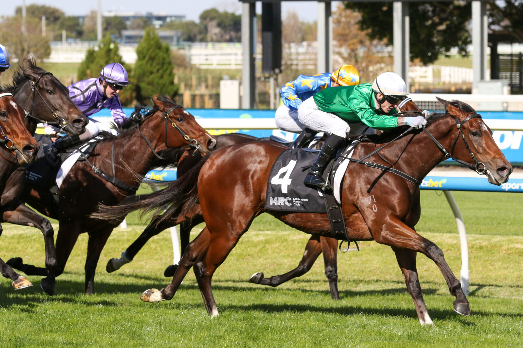 Horse race in progress on a sunny turf track; close pack of galloping horses and jockeys in green, purple, and blue silks, with number 4 saddlecloth visible on the front horse.