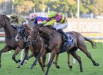 Three jockeys on racing horses sprint on a sunny turf track, close competition for the lead.