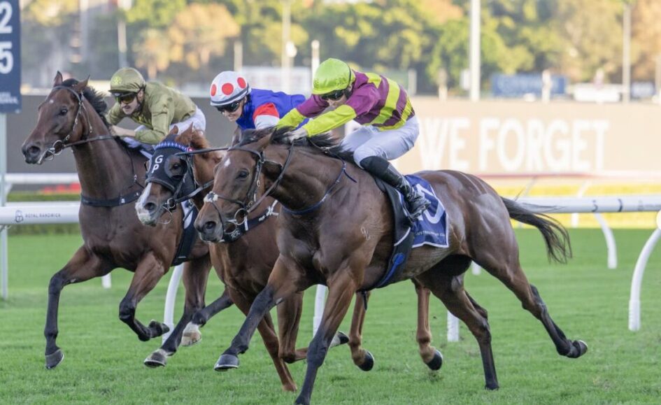 Three jockeys on racing horses sprint on a sunny turf track, close competition for the lead.