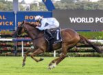Jockey in pale blue silks rides a brown horse at full gallop on a turf racecourse with a blue signage backdrop reading 'ROYAL' and a 'WORLD' graphic visible behind them.